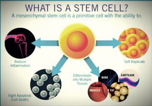 Stem Cells and IV Nutrition of El Paso Tx